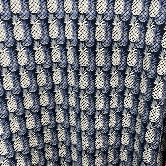 CHICO’S Casual Dress Blue & White Pineapple Pattern Sleeveless Popover Small - Picture 4 of 12